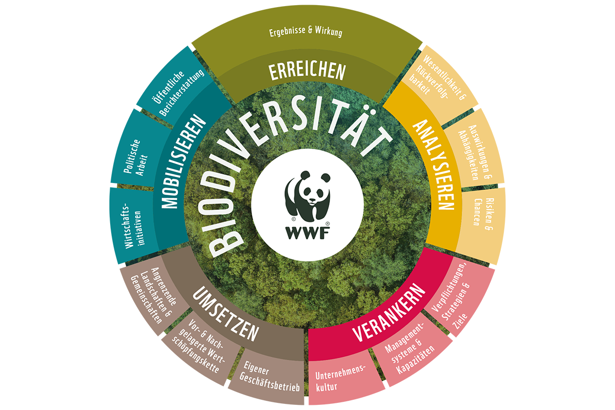 5 Schritte zum unternehmerischen Biodiversitätsmanagement