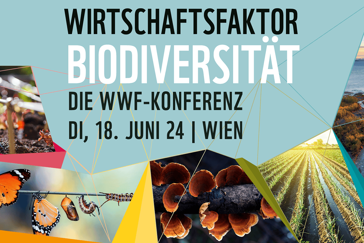 Das war Wirtschaftsfaktor Biodiversität, die WWF-Konferenz - WWF Österreich