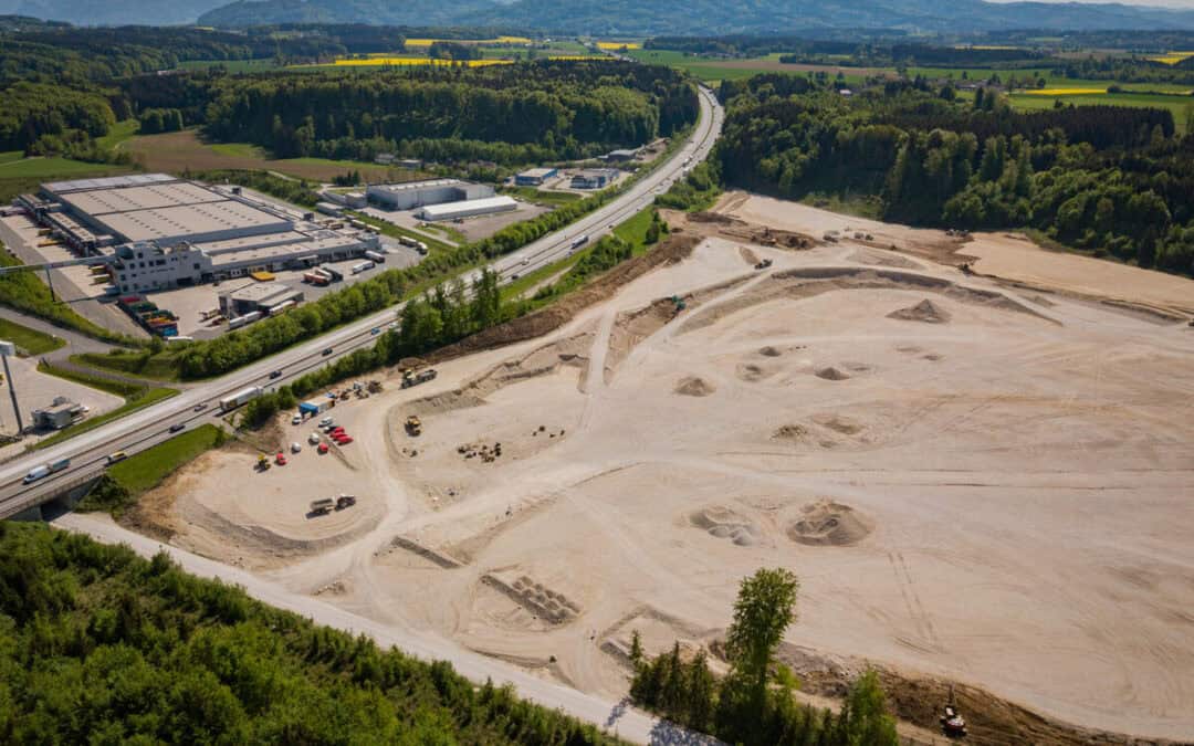 Bodenstrategie: WWF kritisiert “Betonier-Föderalismus” der Bundesländer