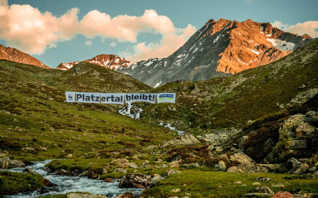 WWF fordert Planungsstopp im Kaunertal als Teil der Tiwag-Neuaufstellung