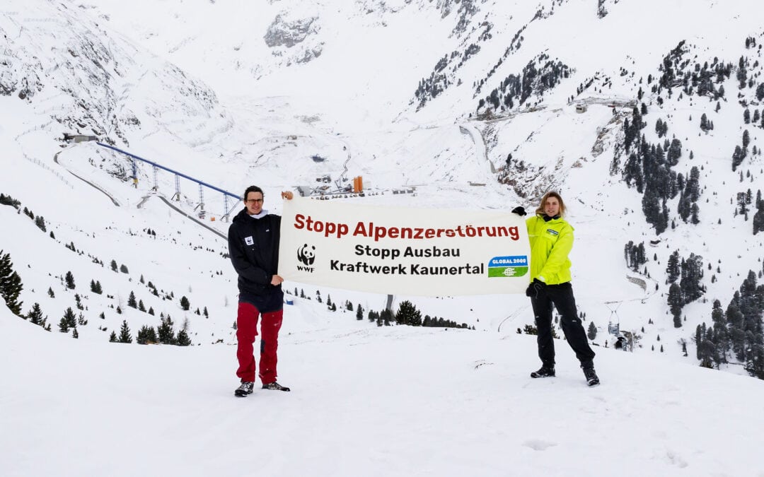 Schulterschluss gegen Ausbau Kraftwerk Kaunertal: Umweltschutzorganisationen appellieren mit Mitmach-Aktion an Tirols Landeshauptmann