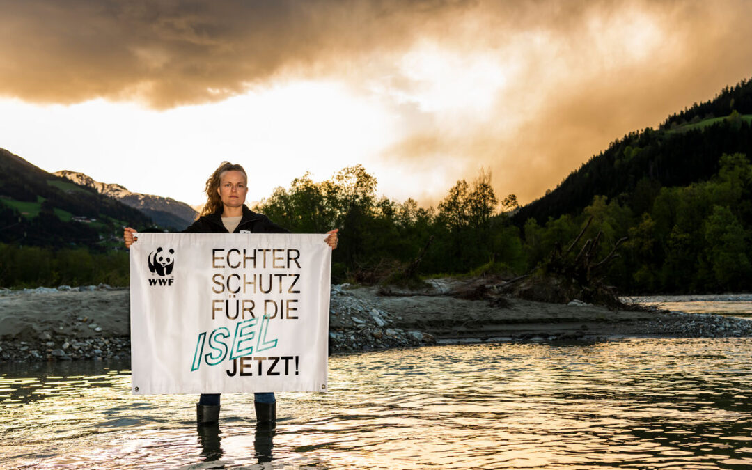 WWF fordert Absage der Kraftwerksprojekte an der Isel