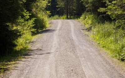 Wie dicht ist das Forststraßennetz in Österreich?