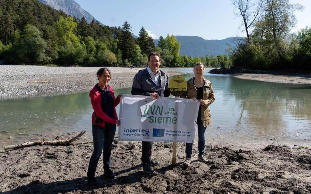WWF und Land Tirol setzen Maßnahmen für gefährdete Vogelarten am Inn