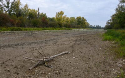 WWF fordert Rettungspaket für Untere Lobau im Wiener Regierungsprogramm