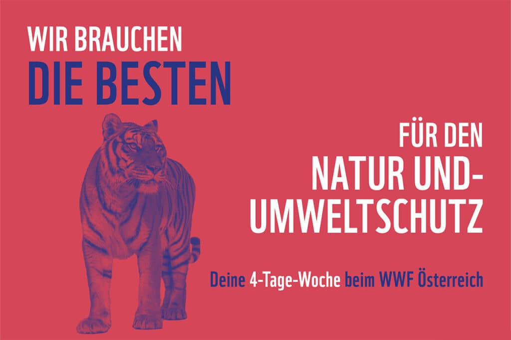 wir brauchen die Besten (c) Adobestock Tiger auf rotem Hintergrund mit dem Text Wir brauchen die Besten für den Natur und Umweltschutz