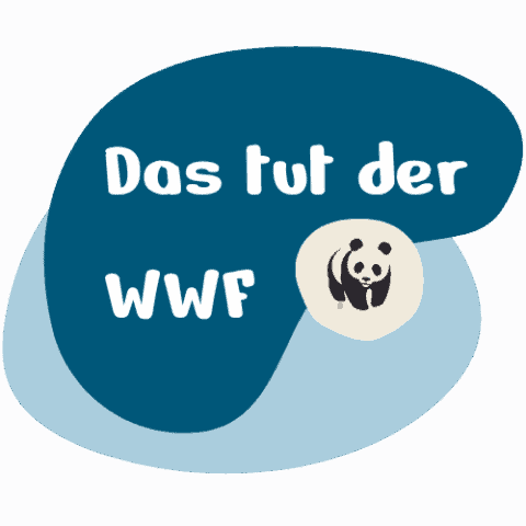 GORILLA - WWF Österreich