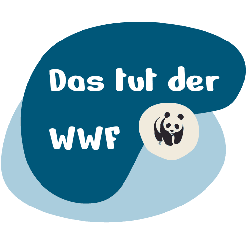 Blauer Farbklecks mit dem Text Das tut der WWF!