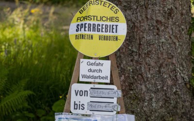 Vielfalt im Wald durch Bewirtschaftung?