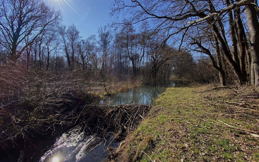HydroTagung Wasserrückhalt