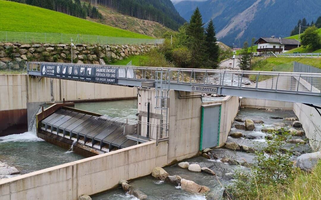 Erneuerbaren-Ausbau-Gesetz: WWF und ÖKOBÜRO fordern grundlegende Überarbeitung
