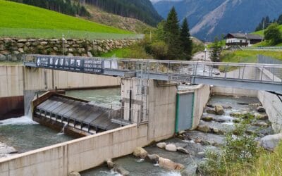 Erneuerbaren-Ausbau-Gesetz: WWF und ÖKOBÜRO fordern grundlegende Überarbeitung