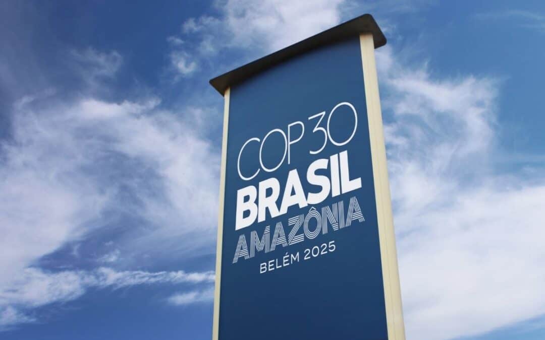 COP30: WWF fordert Klima- und Naturschutz-Offensive