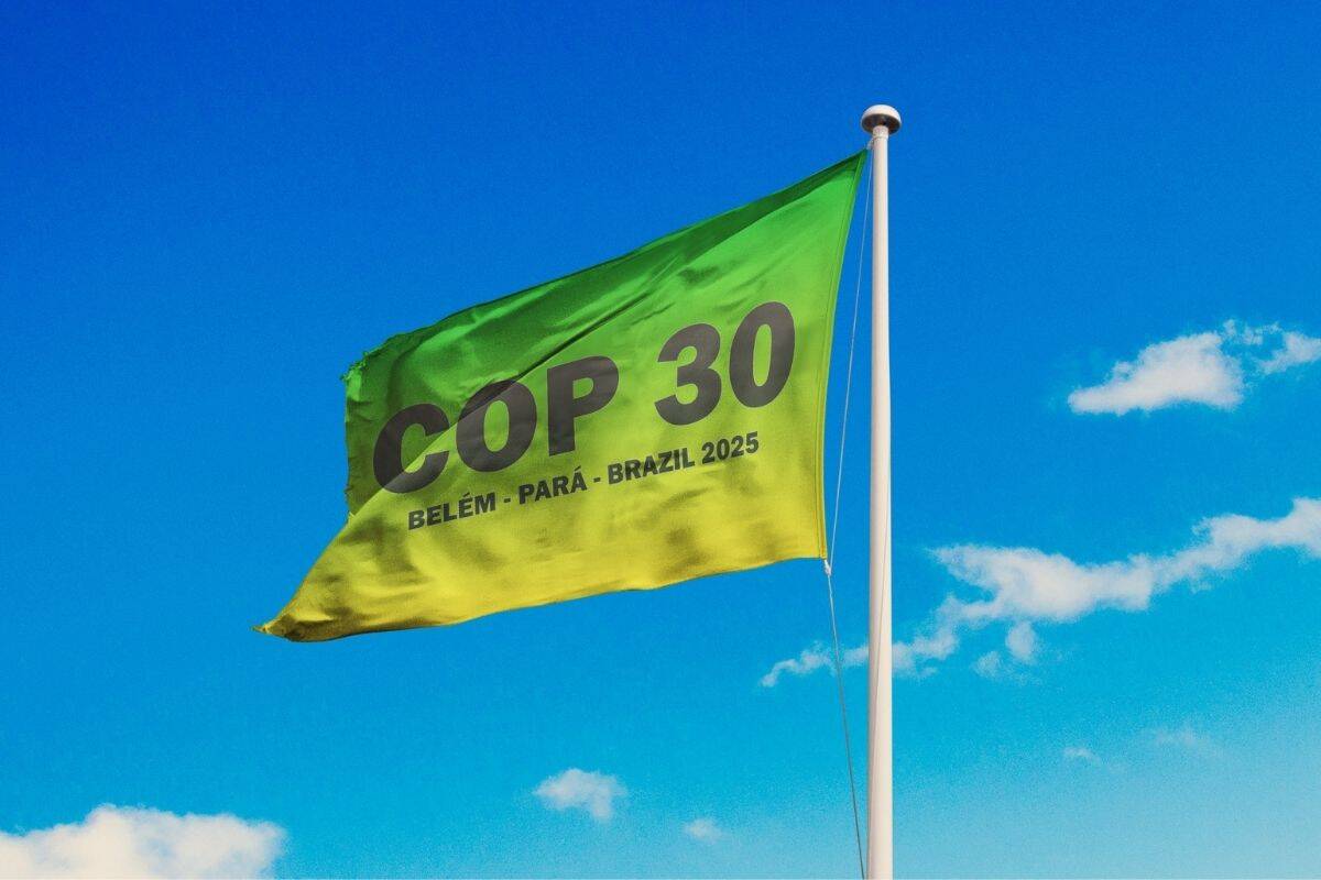 COP 29 Flagge 1200x800 (c) AdobeStock / Jon_Le-Bon
