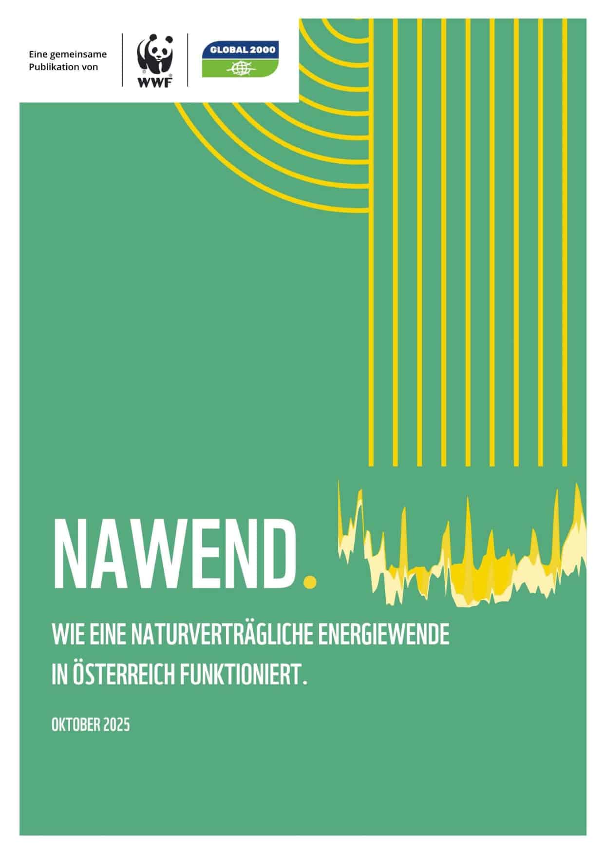 Titelblatt Moorstudie