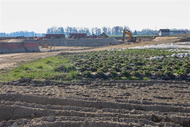 Neue Umfrage: Große Mehrheit fordert strengere Bodenschutz-Maßnahmen