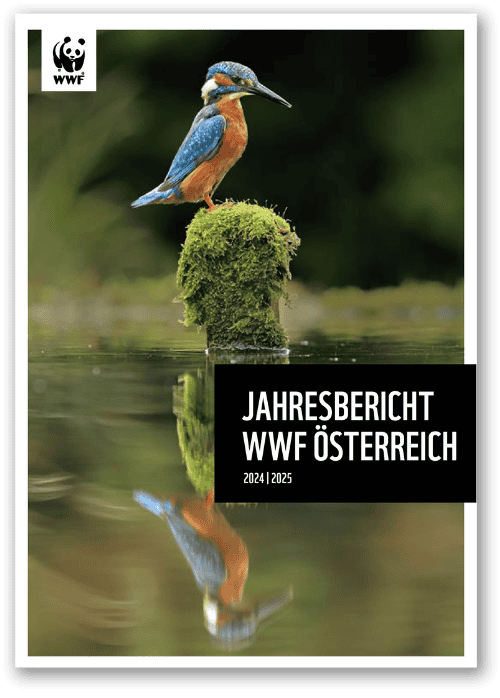 WWF Österreich Jahresbericht 2024-25