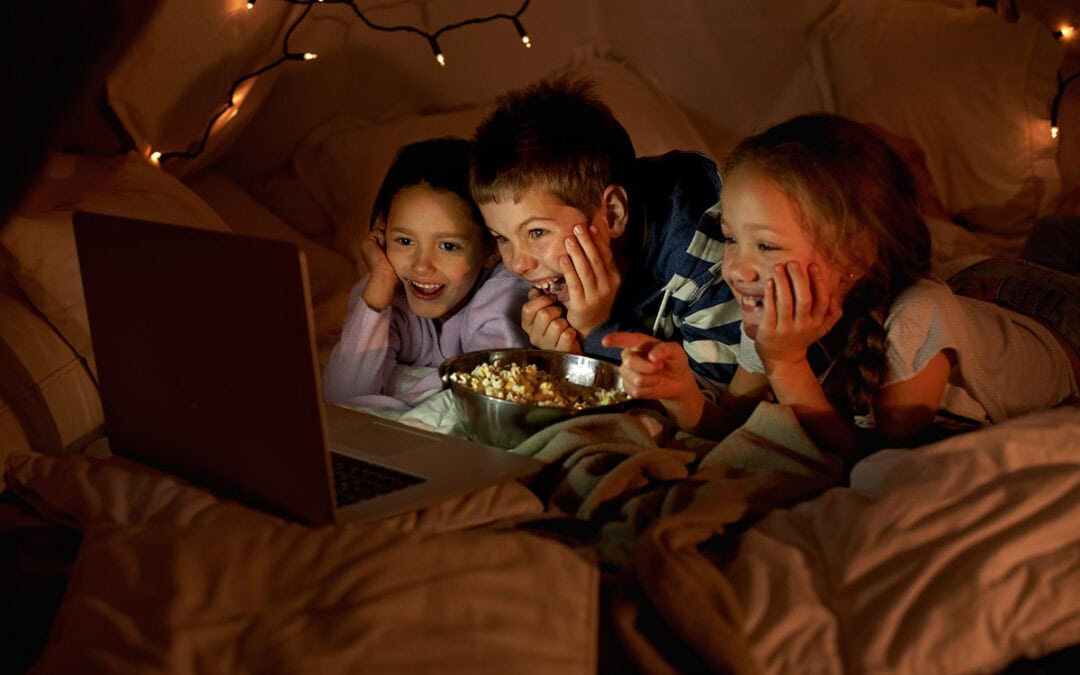 So schützt du Tiere und Natur an Silvester