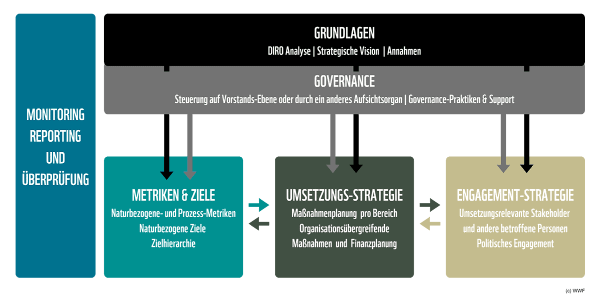 Grafik zum Aufbau eines Nature-Transition-Plans: Oben stehen die Grundlagen wie DIRO-Analyse, strategische Vision und Annahmen. Darunter folgt der Governance-Bereich mit Steuerung auf Vorstandsebene. Drei farbige Säulen zeigen die zentralen Elemente: ‚Metriken & Ziele‘ mit naturbezogenen und prozessbezogenen Kennzahlen, ‚Umsetzungs-Strategie‘ mit Maßnahmenplanung und Finanzplanung sowie ‚Engagement-Strategie‘ mit relevanten Stakeholdern und politischem Engagement. Links steht der begleitende Prozess aus Monitoring, Reporting und Überprüfung.