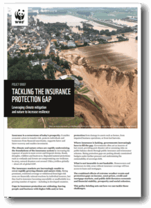 WWF Policy Paper Cover Tackling insurance protection gap (c) WWF WWF Policy Paper Cover Tackling insurance protection gap