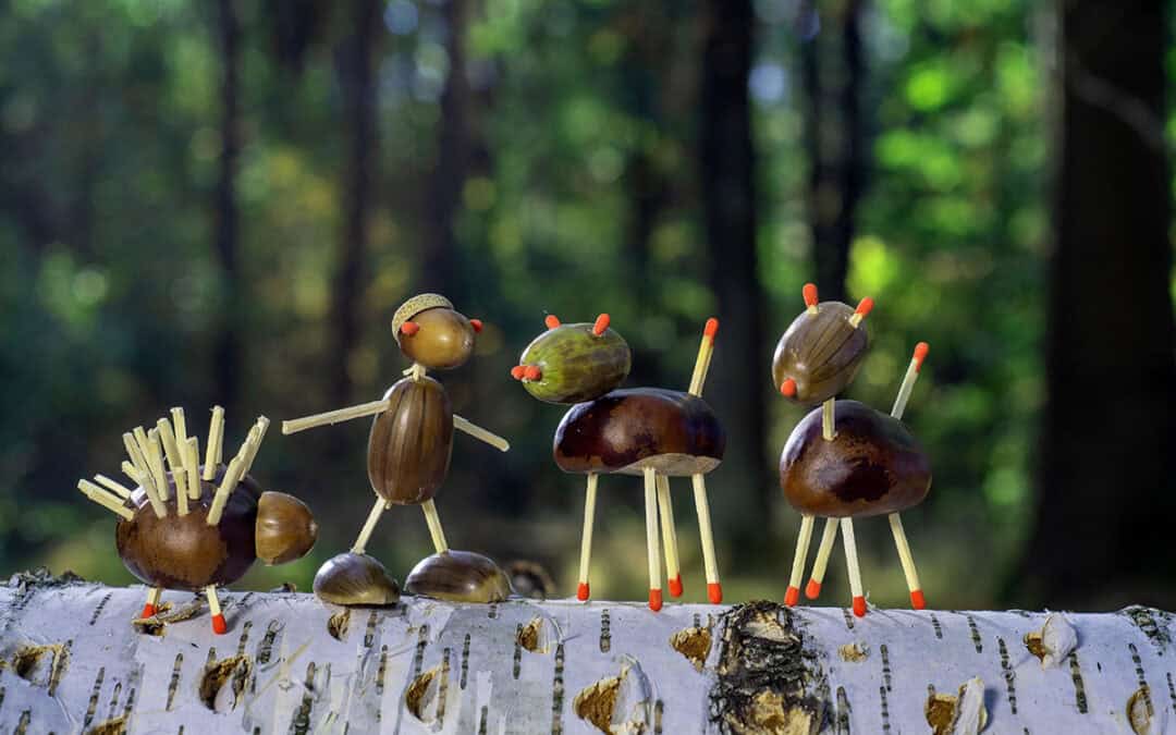 Basteln & Experimente