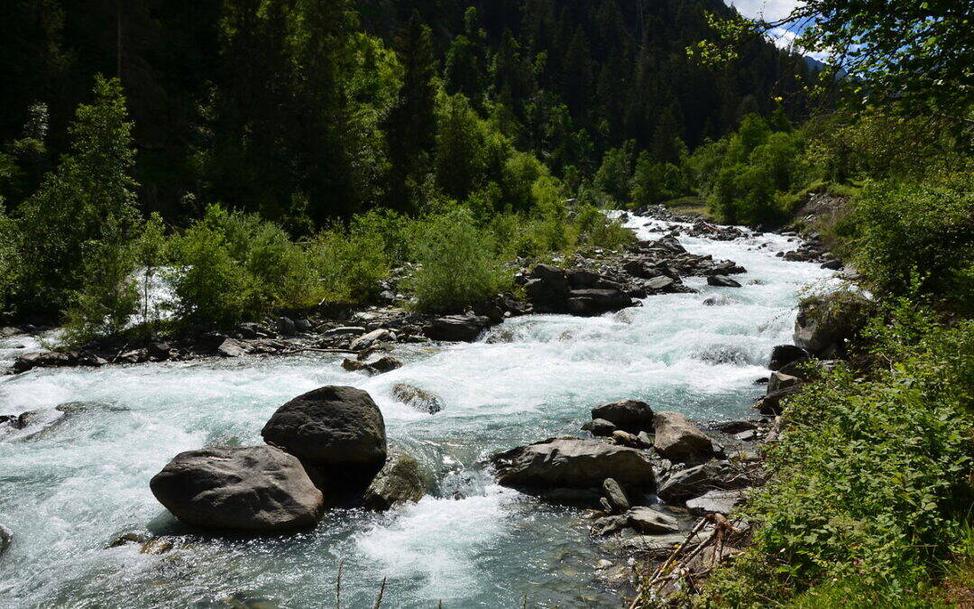 WWF: EU-Kommission gefährdet Wasser-Schutz