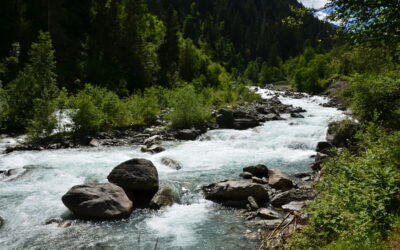 WWF: EU-Kommission gefährdet Wasser-Schutz