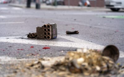 Silvester: Stressnacht für Tiere und Umwelt – WWF fordert Verbot von Böller-Verkauf