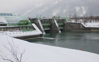 Stromanbieter-Check: TIWAG fällt bei Stromanbieter-Check durch