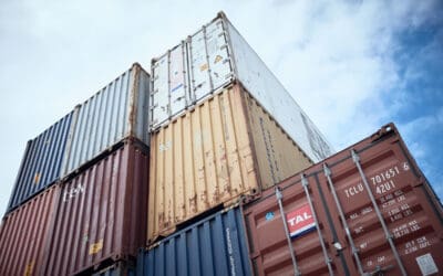 WWF: Neuer IPBES-Bericht sollte Weckruf für Politik und Wirtschaft sein