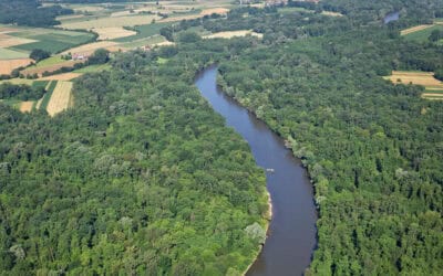 Good News: Slowenien stoppt Kraftwerkspläne an der Mur
