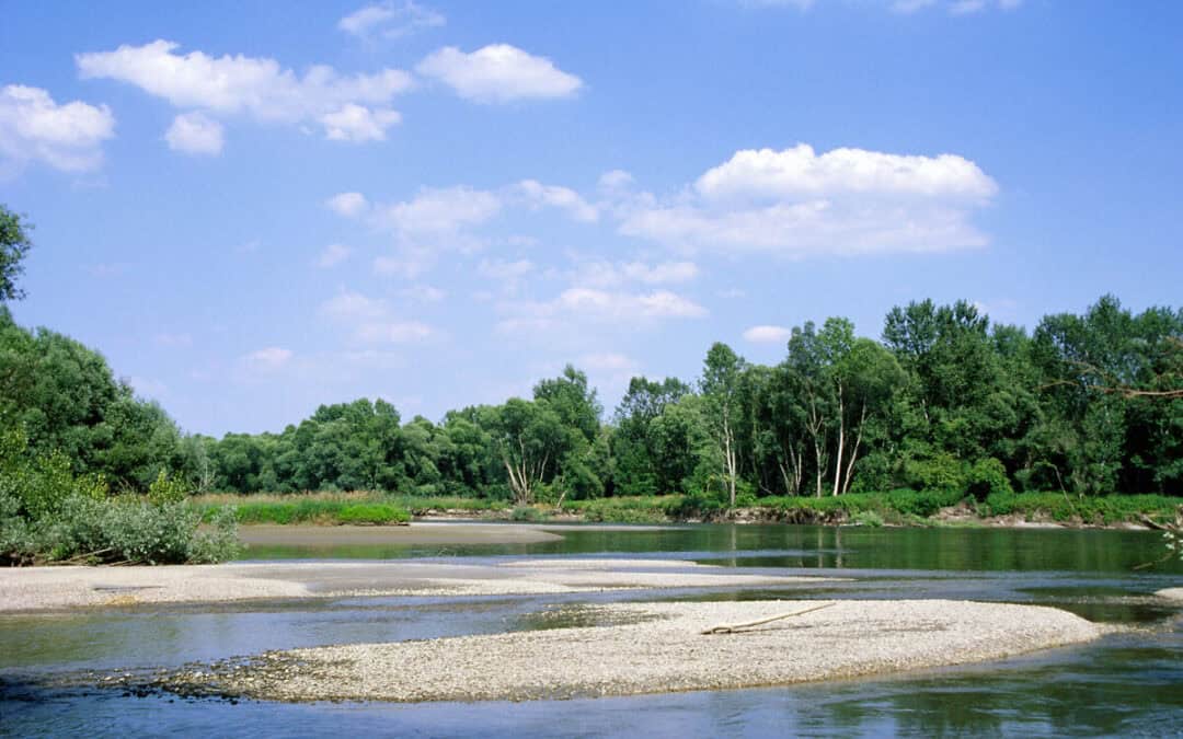 Schutz der Mur: Slowenische Regierung stoppt endgültig alle Kraftwerkspläne