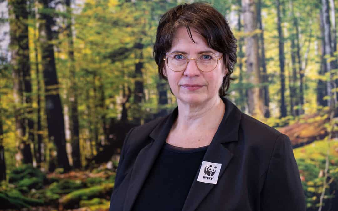 Tiwag-Studie: WWF warnt vor Profiten auf Kosten der Natur