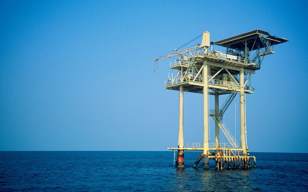 WWF legt 5-Punkte-Paket gegen fossile Preisfalle vor