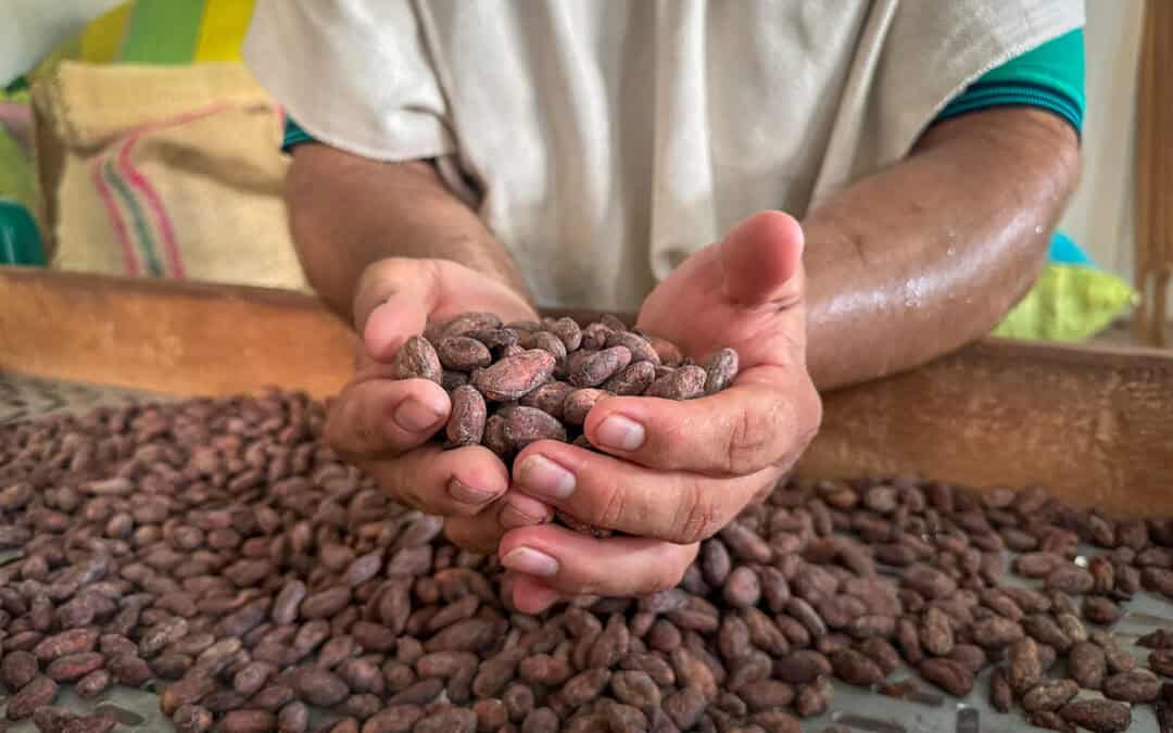 Ostern ohne bitteren Beigeschmack: WWF fordert entwaldungsfreie Lieferketten für Schokolade