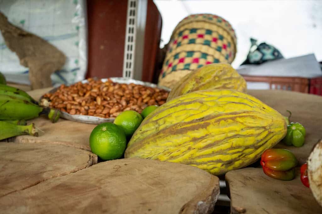 Kakaofrucht und Kakaobohnen