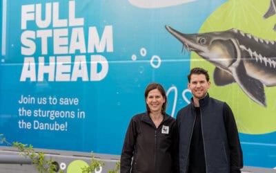 Tennis-Star Dominic Thiem engagiert sich für seltene Donau-Störe