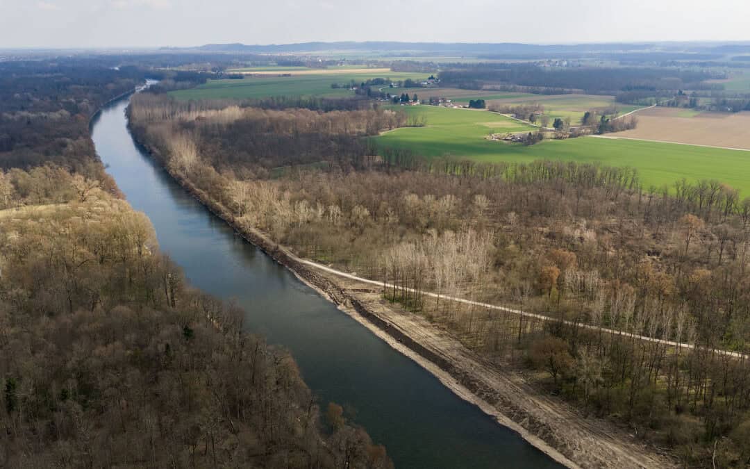 Durchbruch an der Grenzmur: WWF zeigt, wie Renaturierung gelingt