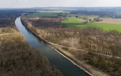 Durchbruch an der Grenzmur: WWF zeigt, wie Renaturierung gelingt