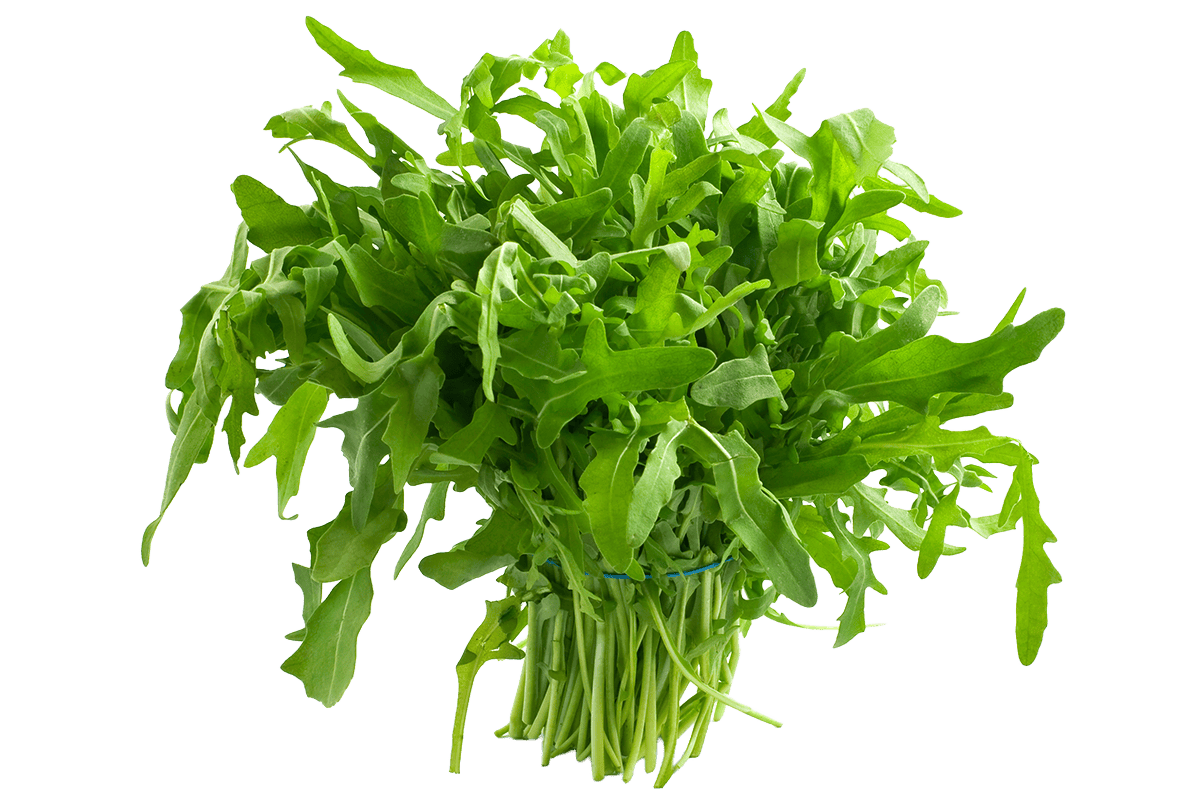 Ruccola Salat