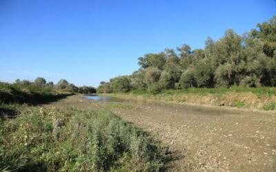 WWF warnt: Drei Viertel der Fluss-Pegel in Österreich mit Niedrigwasser