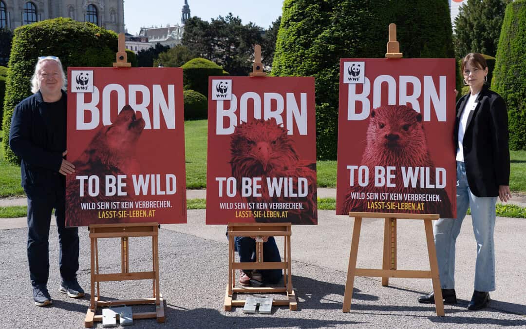 WWF: Mehr als 1.300 geschützte Tiere seit 2020 in Österreich getötet