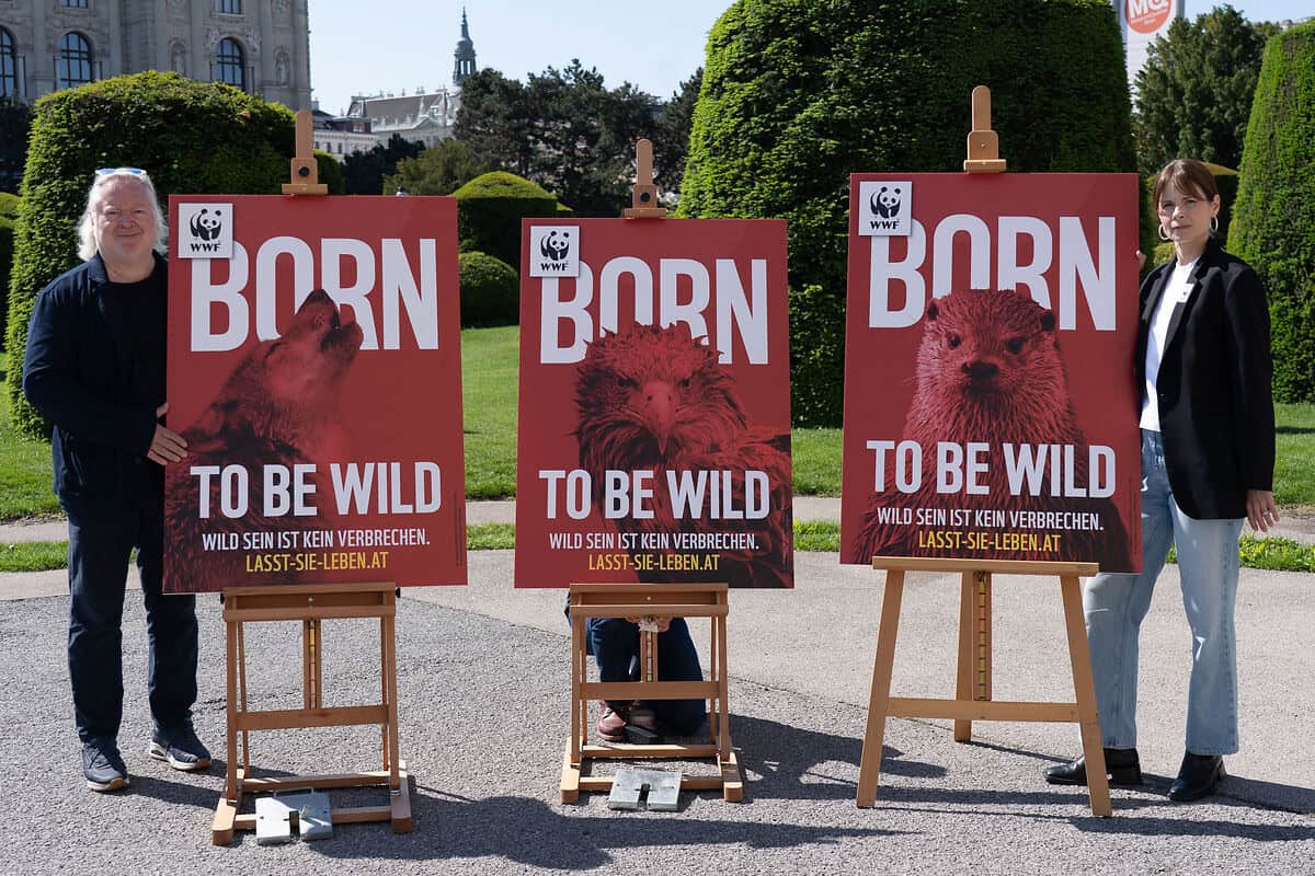 PK Born to be wild - Hanna Simons und Gregor Seberg