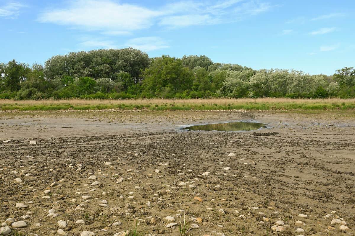 Untere Lobau / Kühwörther Wasseram 1_05.05.2026