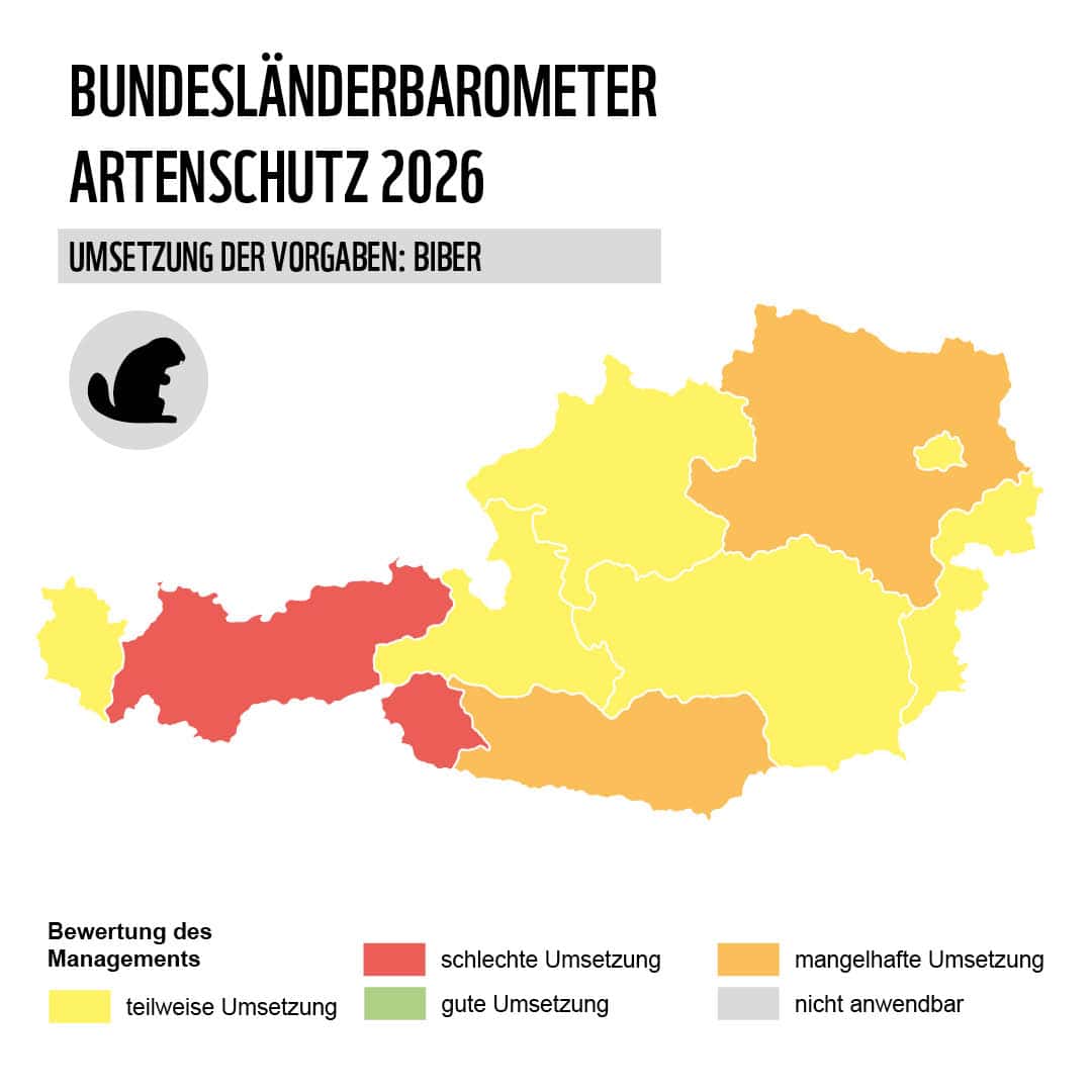 Grafik Karte Österreich mit Bundesländern Artenschutz Biber