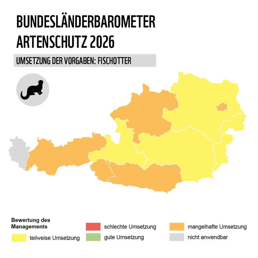 Grafik Karte Österreich mit Bundesländern Artenschutz Fischotter