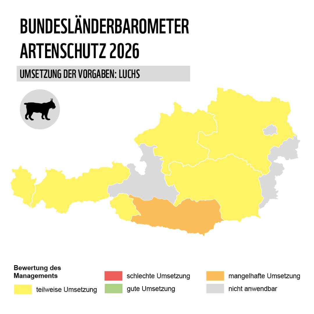 Grafik Karte Österreich mit Bundesländern Artenschutz Luchs