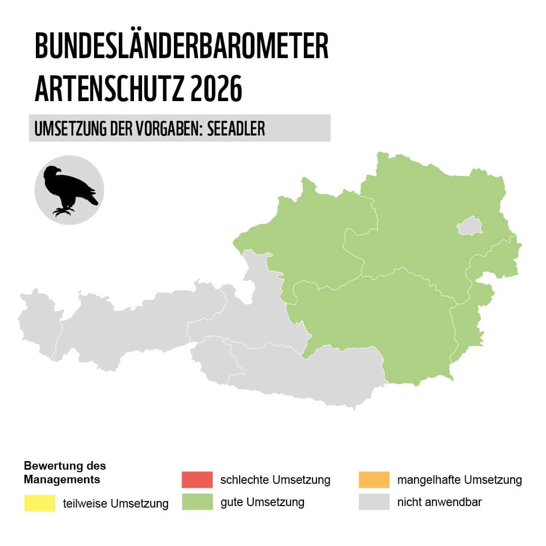 Grafik Karte Österreich mit Bundesländern Artenschutz Seeadler