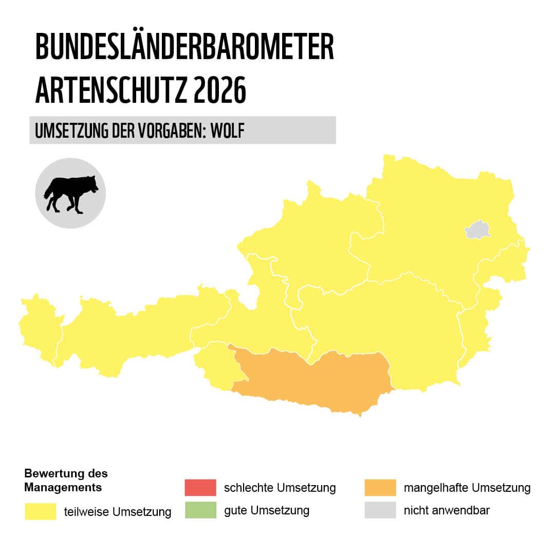 Grafik Karte Österreich mit Bundesländern Artenschutz Wolf