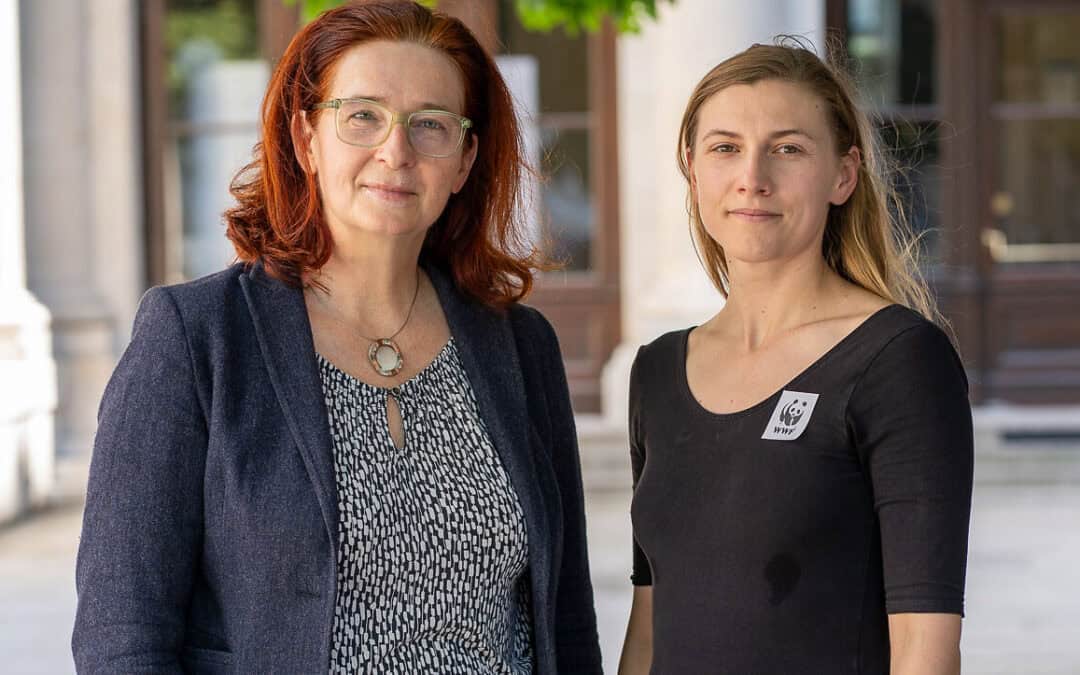 Neue Studie: Ökonomin Stagl warnt vor Budgetrisiken durch fehlende Klimapolitik